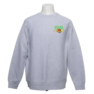 Sweatshirt (Gray) from SNS Cotton, Polyester
