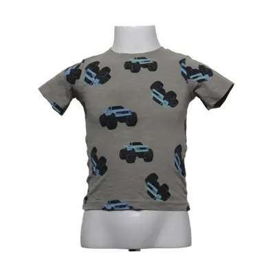 T-shirt (Grå, Flerfärgad) från Mywear Young Bomull
