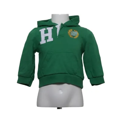 Hoodie (Green) from Hammarby IF Cotton