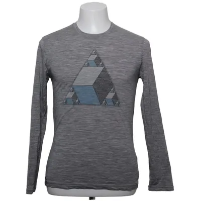 Long sleeve T-shirt (Gray) from Icebreaker Merino wool