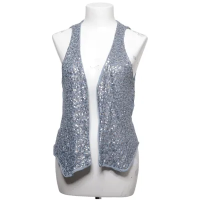 Gilet (Blauw, Zilver)