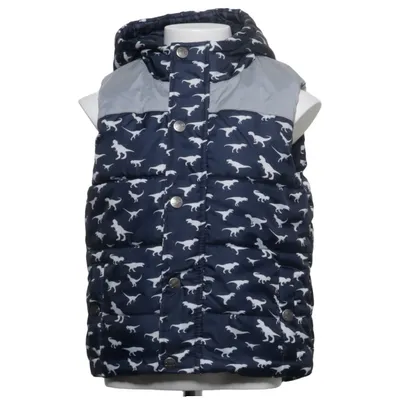 Outer vest (Blue, White) from Lupilu Polyester