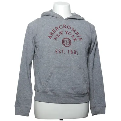 Sweat à capuche (Gris) de Abercrombie & Fitch
