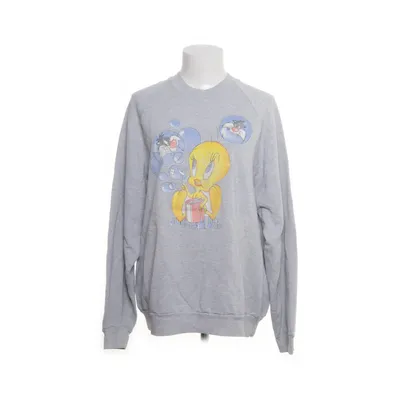 Sweatshirt (Grijs) van Screen Stars