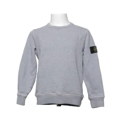 Sweatshirt (Gray) from Stone Island Junior Cotton
