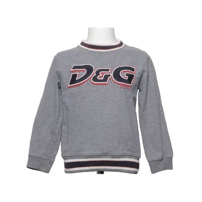 Sweatshirt (Gray) from Dolce & Gabbana Junior Cotton