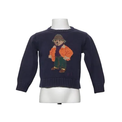 Trui (Blauw, Meerkleurig) van Polo Ralph Lauren Katoen