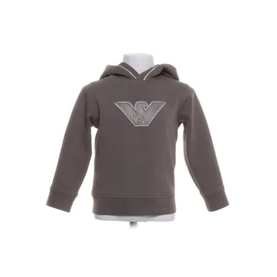 Hoodie (Brown) from Emporio Armani Cotton, Elastane, Polyester