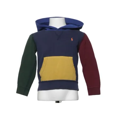 Hoodie (Blue, Multicolored) from Polo Ralph Lauren Cotton, Polyester