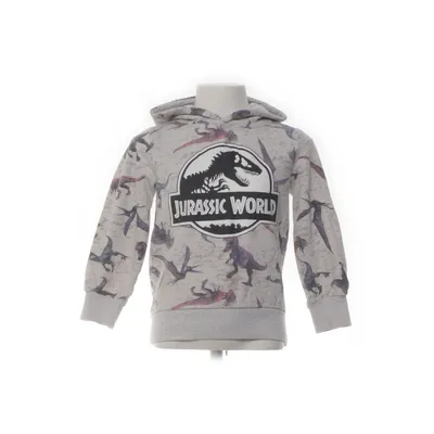 Hættetrøje (Grå, Flerfarvet) fra Jurassic World