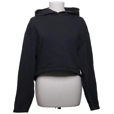 Hoodie (Gray)