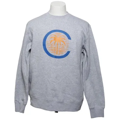 Sweatshirt (Grå) fra Russell Bomuld, Polyester