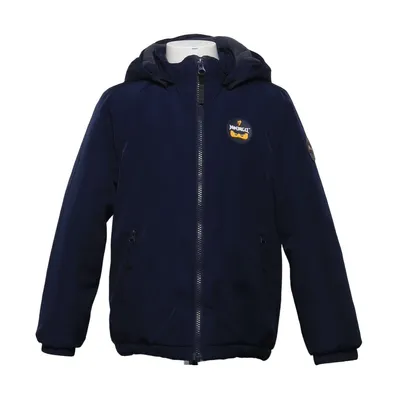 Winter jacket (Blue) from LEGO Wear Polyester