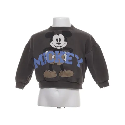Sweatshirt (Gris, Bleu, Marron) de Disney Coton, Polyester