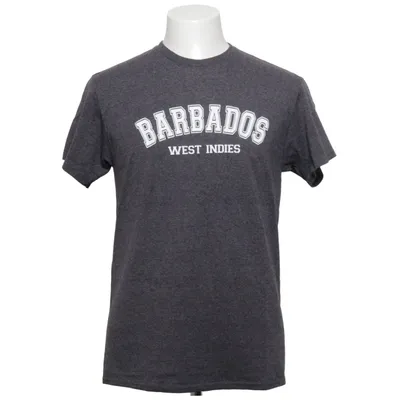 T-shirt (Pro Weight) van Delta Pro Weight Katoen, Polyester