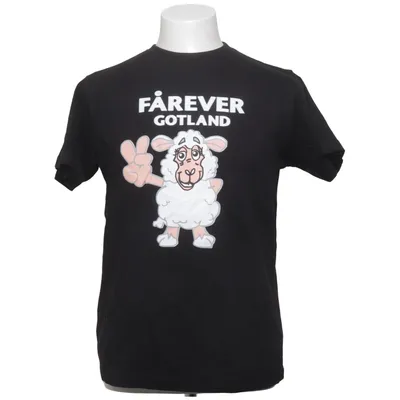 T-shirt (Svart) från Jingham Bomull