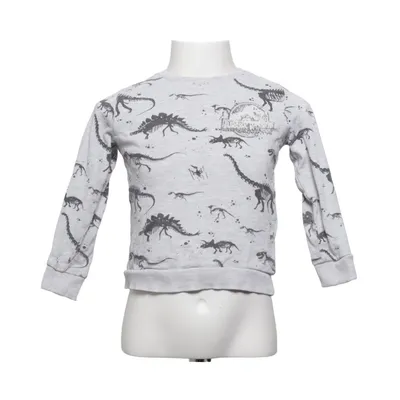 Sweatshirt (Gris, Noir) de Jurassic Park Coton, Élasthane, Viscose