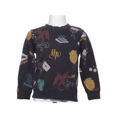 Sweatshirt (Sort, Flerfarvet) fra Harry Potter x H&M Bomuld, Polyester