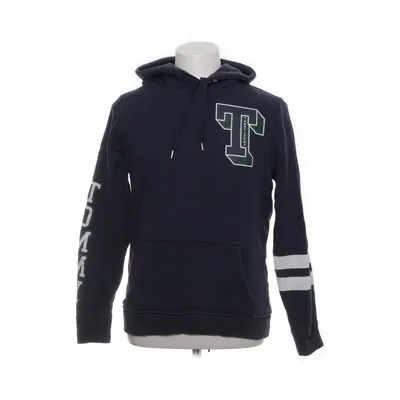 Hoodie (Blue, Multicolored) from Tommy Hilfiger Jeans Cotton