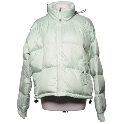 Winterjas (Groen) van The North Face Katoen, Dons, Elastaan, Veer, Polyester