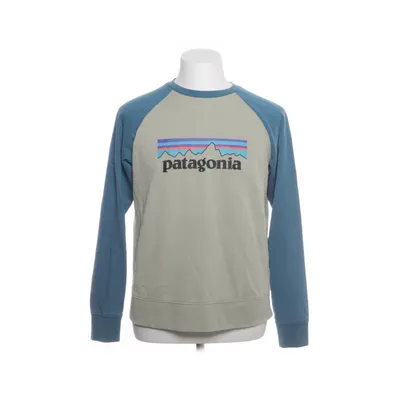 Collegetröja (Blå, Beige) från Patagonia Ekologisk bomull, Polyester