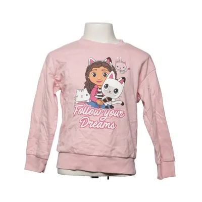 Sweatshirt (Pink) from Dreamworks Cotton