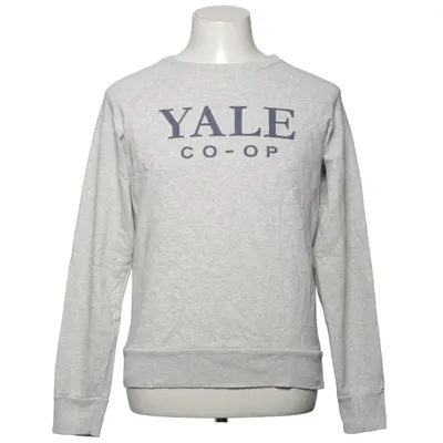 Sweatshirt (Grå) fra GANT Campus Store Bomuld