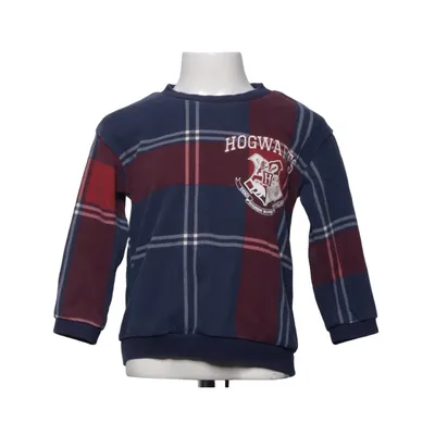 Sweatshirt (Blauw, Meerkleurig) van Sesame Street x H&M Katoen, Polyester