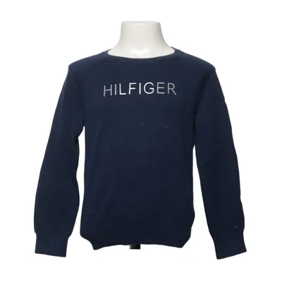 Sweater (Blue) from Tommy Hilfiger Cotton