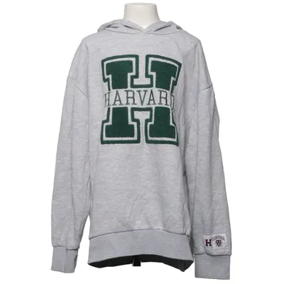 Huvtröja (Grå) från Harvard Bomull, Polyester