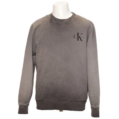 Sweatshirt (Gray) from Calvin Klein Jeans Cotton