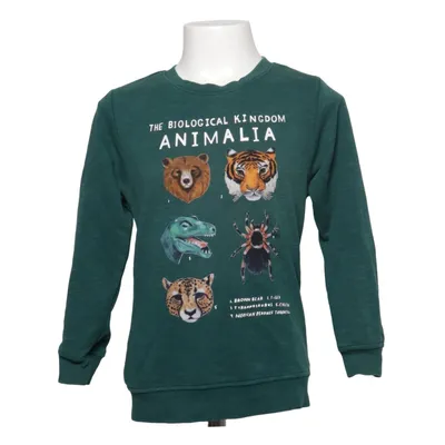 Sweatshirt (Groen, Meerkleurig) van Kelzuki x H&M Katoen, Polyester