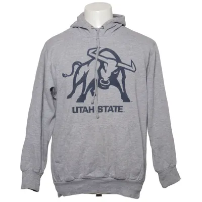 Sweat à capuche (Gris) de MV Sport Coton, Polyester