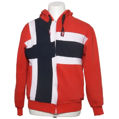 Huvtröja (Röd, Blå, Vit) från Polo Ralph Lauren