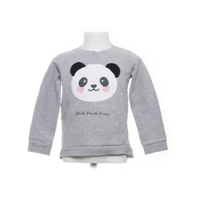 Sweatshirt (Grijs, Meerkleurig) van Impidimpi