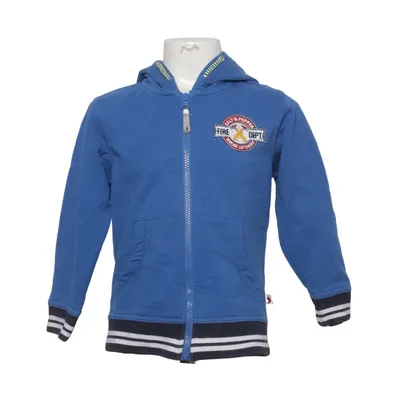 Hoodie (Blue) from Salt and Pepper Cotton, Polyester
