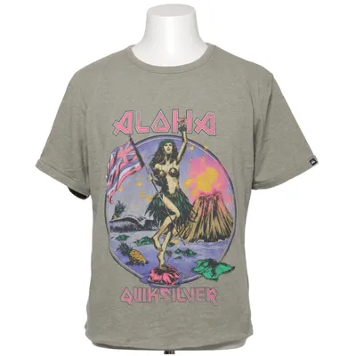T-shirt (Grå, Flerfärgad) från Quiksilver