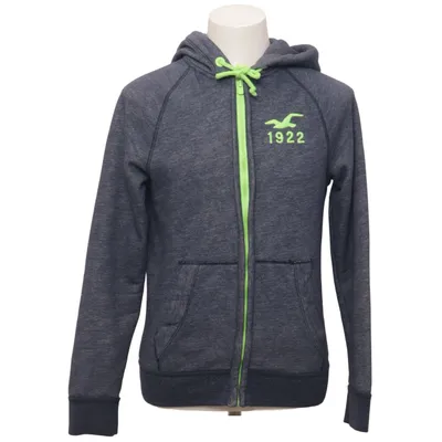 Hoodie (Blue, Green) from Hollister Cotton, Polyester