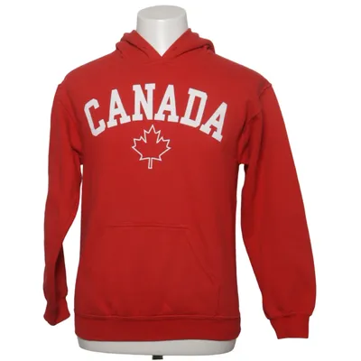 Hoodie (Heavy Blend) from Gildan