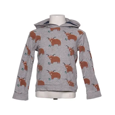 Hoodie (Gray, Brown, Multicolored) from Sense Organics Organic cotton