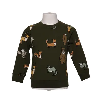 Sweatshirt (Grøn, Flerfarvet) fra Name It Elastan, Økologisk bomuld