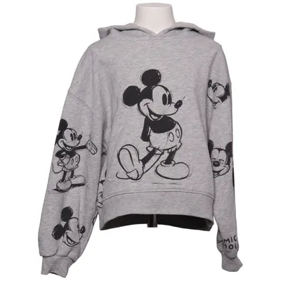 Hoodie (Gray, Black) from Zara x Disney