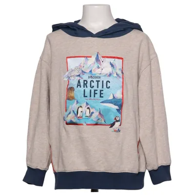 Capuchon sweater (Discover Arctic Life) van Whooli Chen x H&M Katoen, Polyester