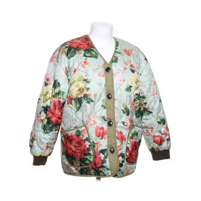 Jack (HAVANA F2146) van Bellerose