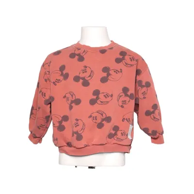 Collegetröja (Brun, Svart) från Zara