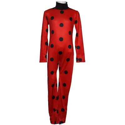 Fancy dress (Ladybug) from Rubies