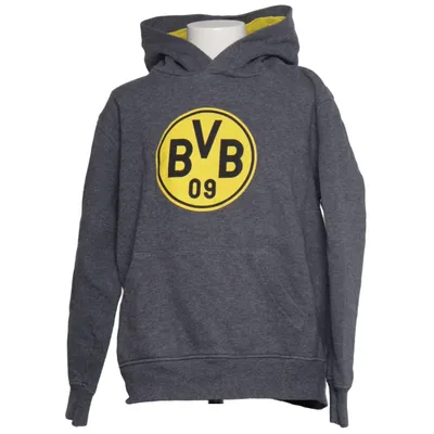 Sweat à capuche (Gris, Jaune) de Borussia Dortmund