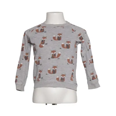 Sweatshirt (Gray, Brown) from Alana Organic cotton, Viscose