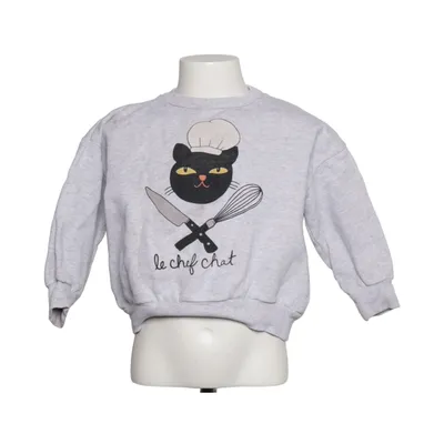 Sweatshirt (Grå) fra Mini Rodini Bomuld