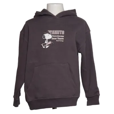 Huvtröja (Grå) från Zara x Peanuts Bomull, Elastan, Polyester